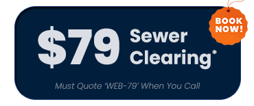 Save On Plumbing In Chesterton